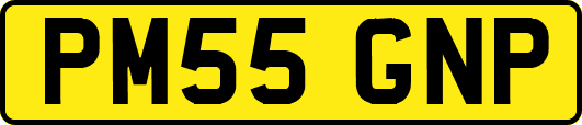 PM55GNP