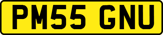 PM55GNU
