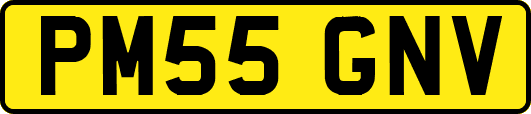 PM55GNV