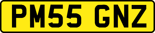 PM55GNZ