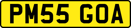 PM55GOA