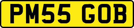 PM55GOB