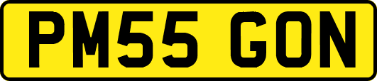 PM55GON