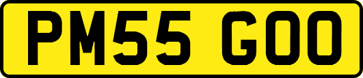 PM55GOO