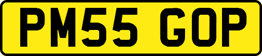 PM55GOP