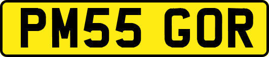 PM55GOR