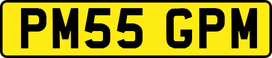 PM55GPM