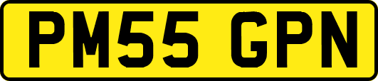 PM55GPN