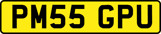 PM55GPU