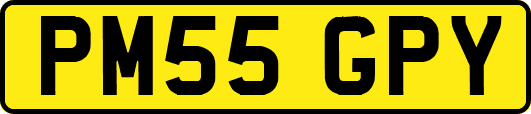 PM55GPY