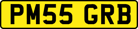 PM55GRB