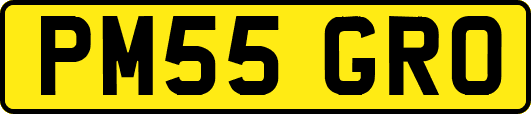 PM55GRO