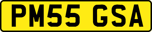 PM55GSA