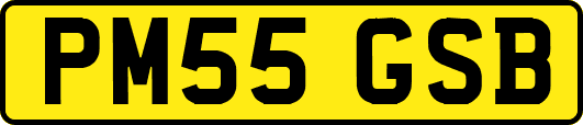 PM55GSB