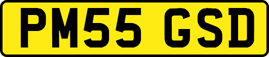 PM55GSD