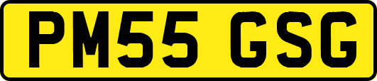 PM55GSG