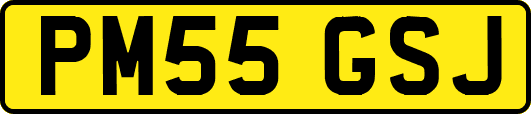 PM55GSJ