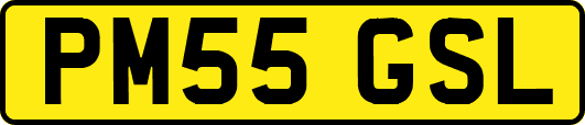 PM55GSL