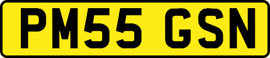PM55GSN