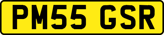 PM55GSR