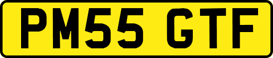 PM55GTF