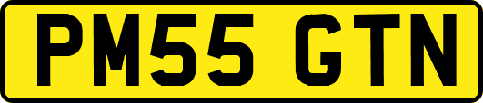 PM55GTN