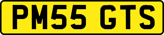 PM55GTS