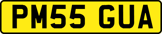 PM55GUA