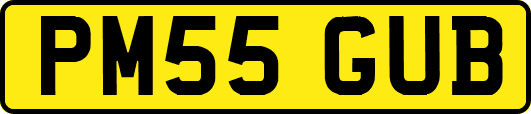 PM55GUB