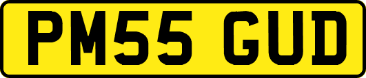 PM55GUD