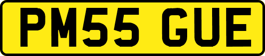 PM55GUE