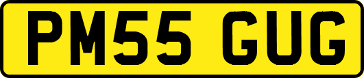 PM55GUG