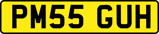 PM55GUH