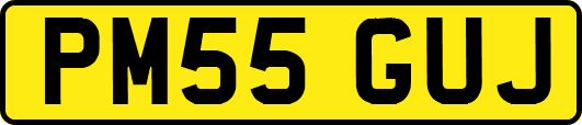 PM55GUJ