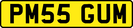 PM55GUM