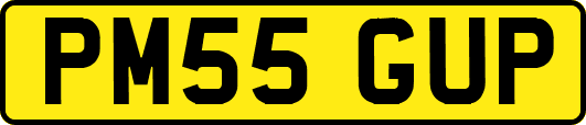 PM55GUP