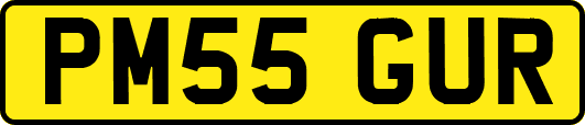 PM55GUR