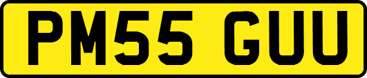 PM55GUU
