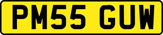 PM55GUW
