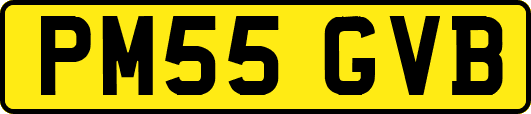 PM55GVB