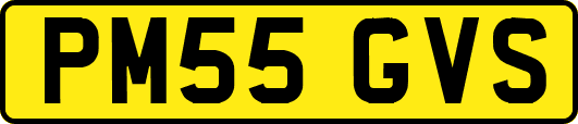 PM55GVS