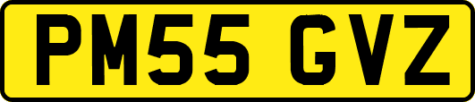 PM55GVZ