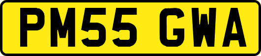 PM55GWA