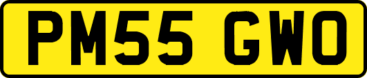 PM55GWO