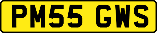 PM55GWS