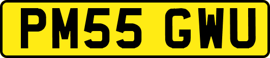 PM55GWU