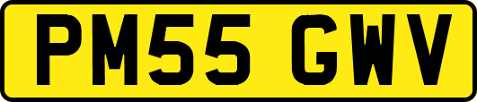 PM55GWV