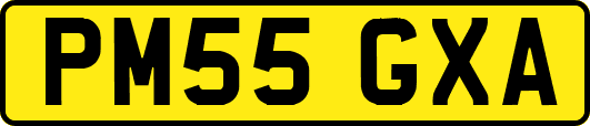 PM55GXA