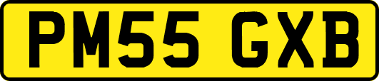 PM55GXB