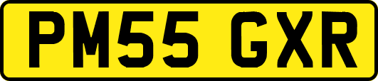 PM55GXR